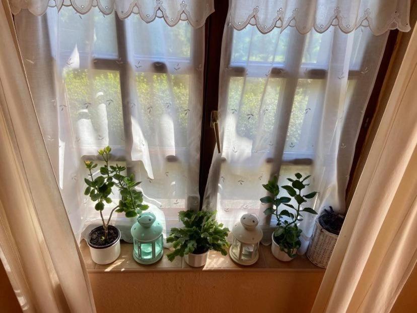 Appartement Fodor Haz à Gyenesdiás Extérieur photo